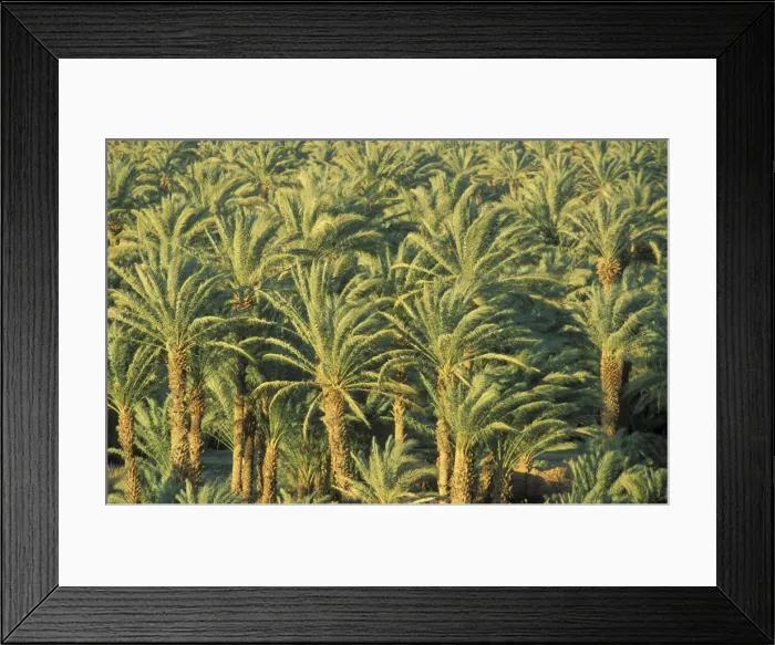 Framed Print : Picture No. 10760815 Framed Print : Picture No. 10760815