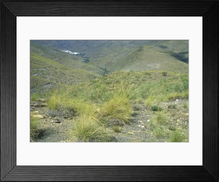 Framed Print : Picture No. 10760809 Framed Print : Picture No. 10760809