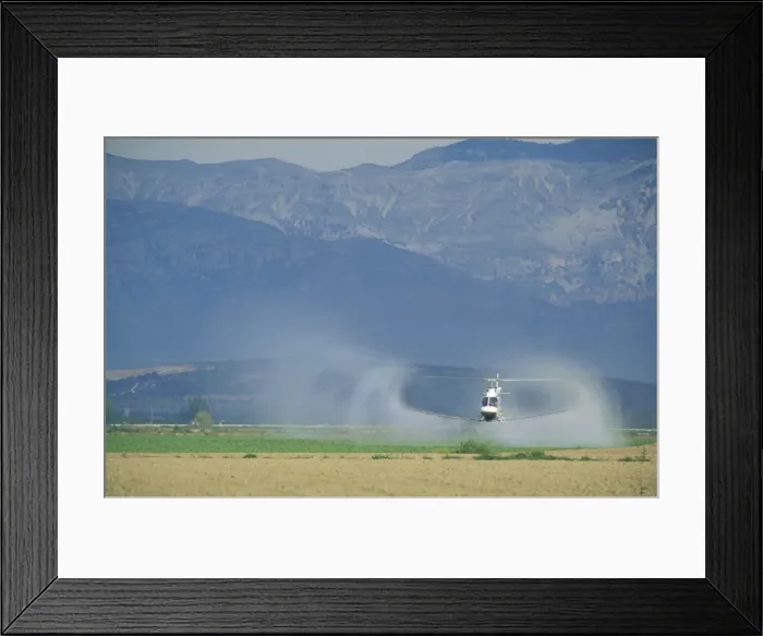 Framed Print : Picture No. 10760823 Framed Print : Picture No. 10760823