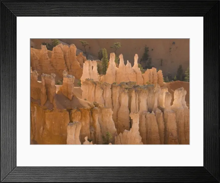 Framed Print : Picture No. 10760836 Framed Print : Picture No. 10760836