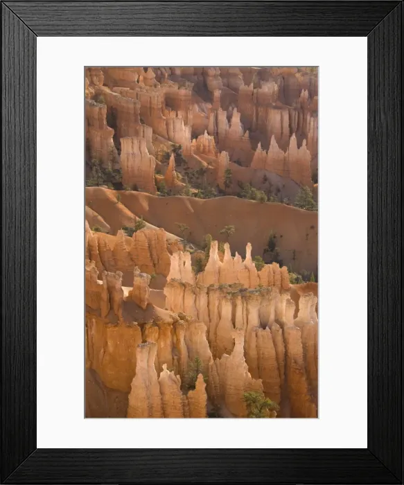 Framed Print : Picture No. 10760840 Framed Print : Picture No. 10760840