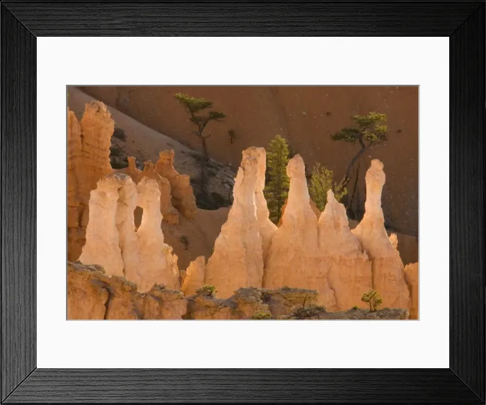 Framed Print : Picture No. 10760834 Framed Print : Picture No. 10760834