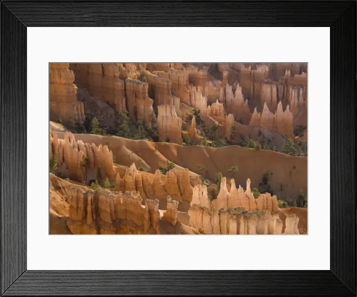 Framed Print : Picture No. 10760841 Framed Print : Picture No. 10760841