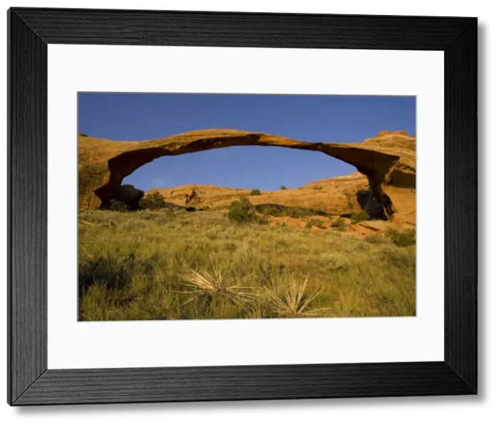 Framed Print : Picture No. 10760832 Framed Print : Picture No. 10760832