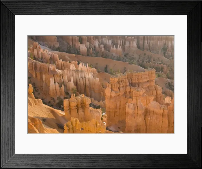 Framed Print : Picture No. 10760837 Framed Print : Picture No. 10760837