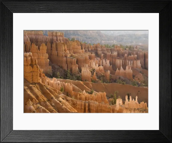 Framed Print : Picture No. 10760843