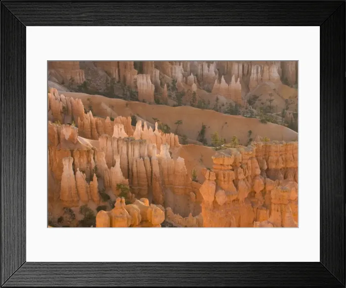 Framed Print : Picture No. 10760838 Framed Print : Picture No. 10760838
