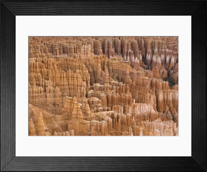 Framed Print : Picture No. 10760848 Framed Print : Picture No. 10760848