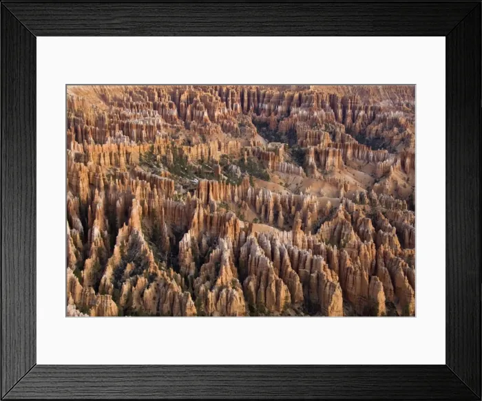 Framed Print : Picture No. 10760846 Framed Print : Picture No. 10760846