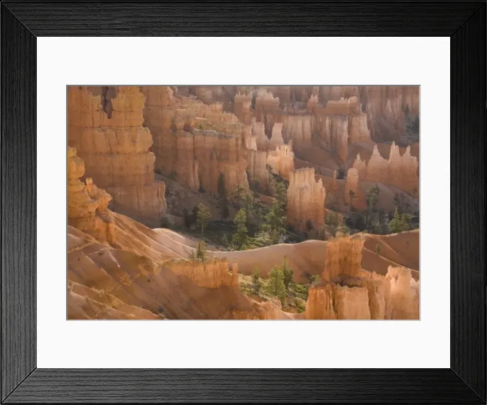 Framed Print : Picture No. 10760844 Framed Print : Picture No. 10760844