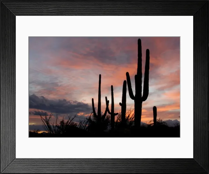Framed Print : Picture No. 10760890 Framed Print : Picture No. 10760890