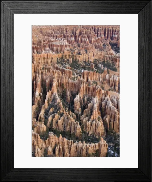 Framed Print : Picture No. 10760845 Framed Print : Picture No. 10760845