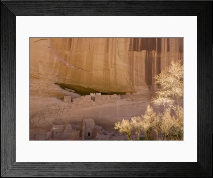 Framed Print : Picture No. 10760854 Framed Print : Picture No. 10760854