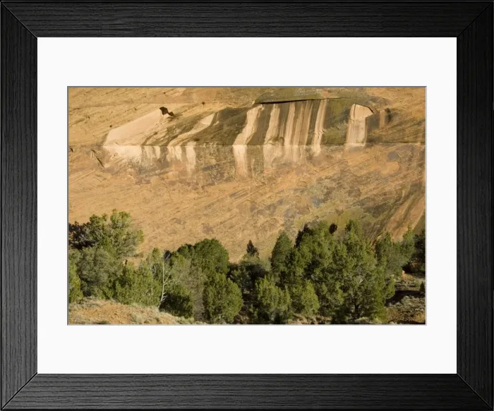 Framed Print : Picture No. 10760855
