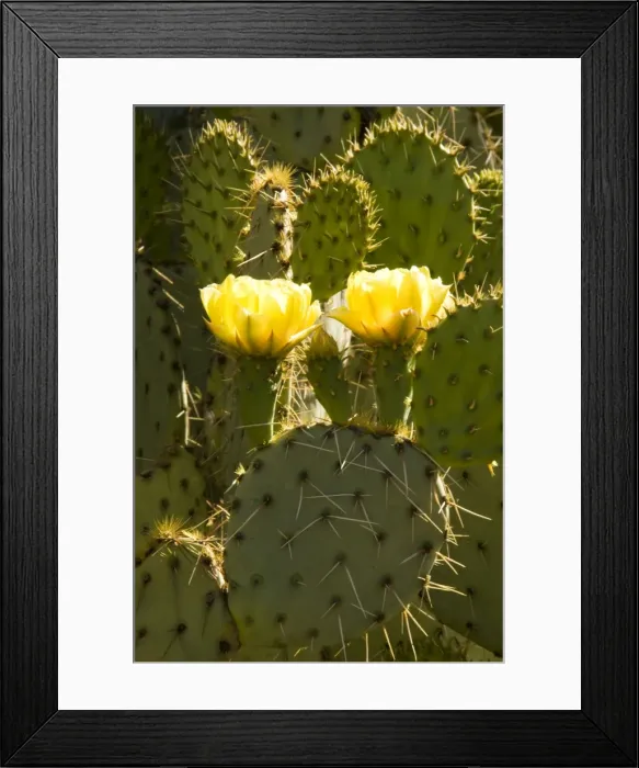 Framed Print : Picture No. 10760873 Framed Print : Picture No. 10760873