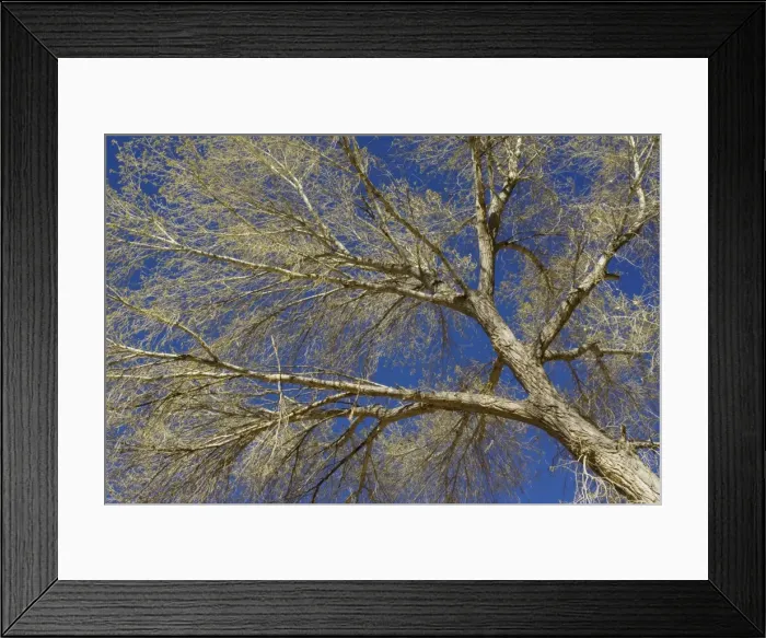 Framed Print : Picture No. 10760860
