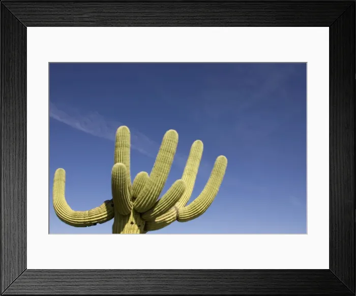 Framed Print : Picture No. 10760876 Framed Print : Picture No. 10760876