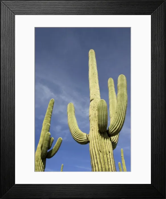 Framed Print : Picture No. 10760877 Framed Print : Picture No. 10760877