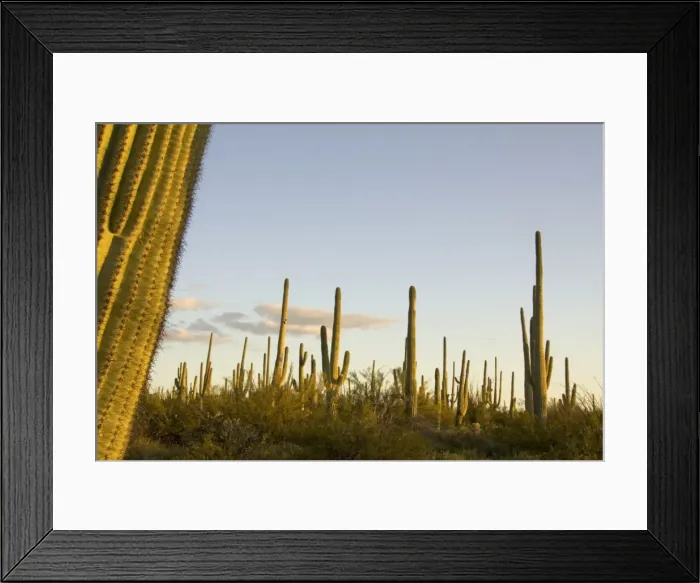 Framed Print : Picture No. 10760882 Framed Print : Picture No. 10760882
