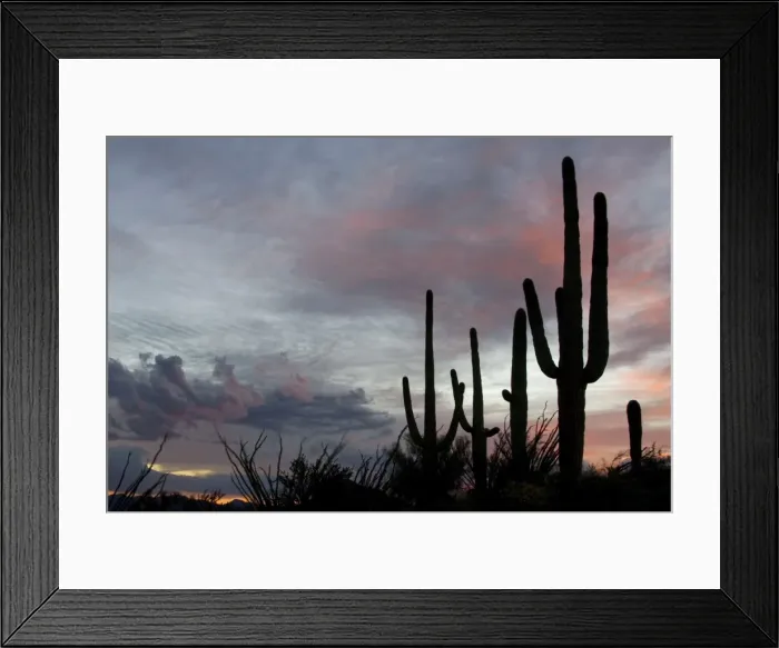 Framed Print : Picture No. 10760889 Framed Print : Picture No. 10760889