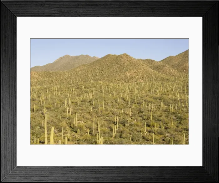 Framed Print : Picture No. 10760885 Framed Print : Picture No. 10760885