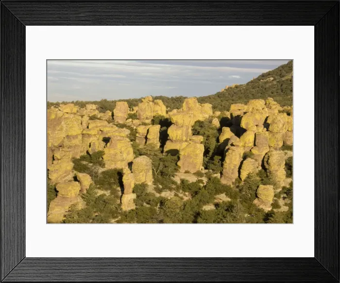 Framed Print : Picture No. 10760920 Framed Print : Picture No. 10760920