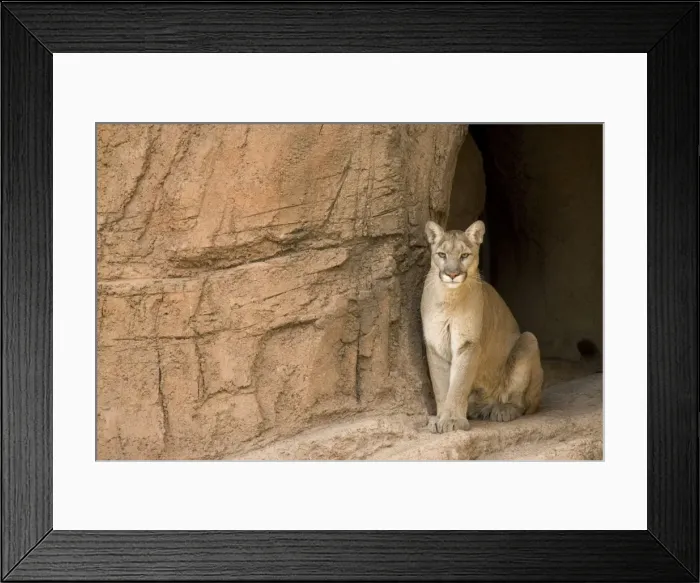 Framed Print : Picture No. 10760922 Framed Print : Picture No. 10760922
