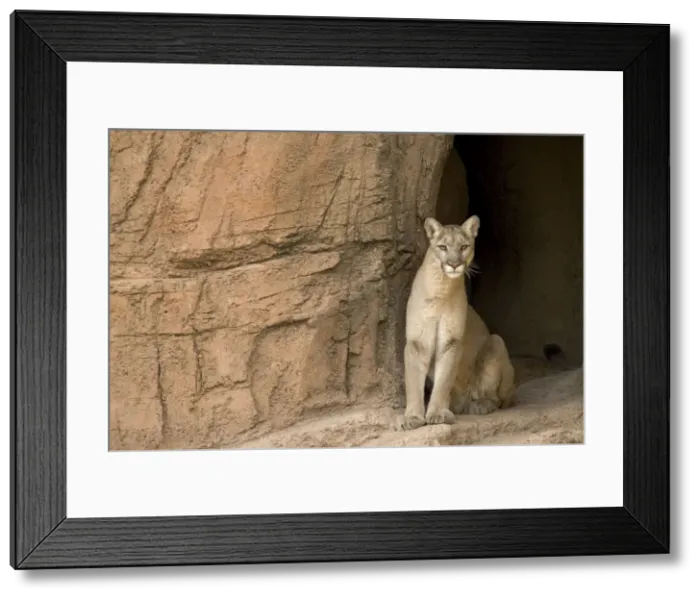 Framed Print : Picture No. 10760923 Framed Print : Picture No. 10760923
