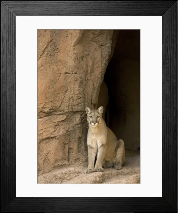 Framed Print : Picture No. 10760924 Framed Print : Picture No. 10760924