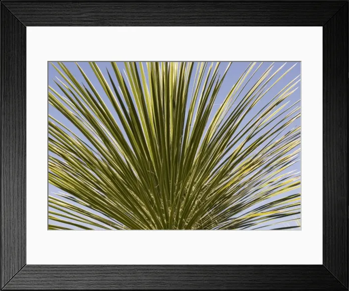 Framed Print : Picture No. 10760942 Framed Print : Picture No. 10760942
