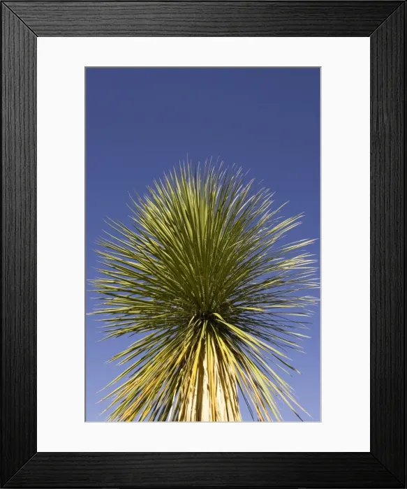 Framed Print : Picture No. 10760944 Framed Print : Picture No. 10760944