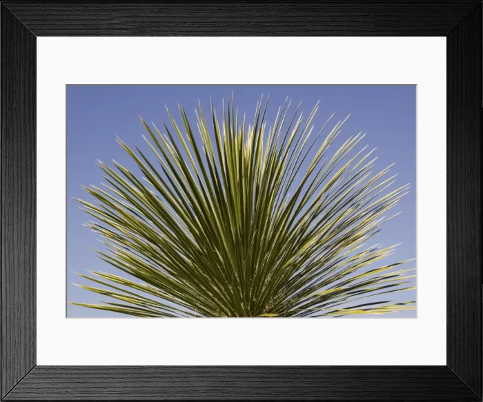 Framed Print : Picture No. 10760943 Framed Print : Picture No. 10760943