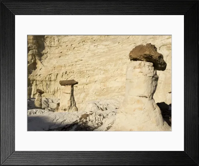 Framed Print : Picture No. 10760950