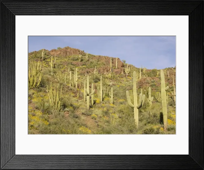 Framed Print : Picture No. 10760978 Framed Print : Picture No. 10760978