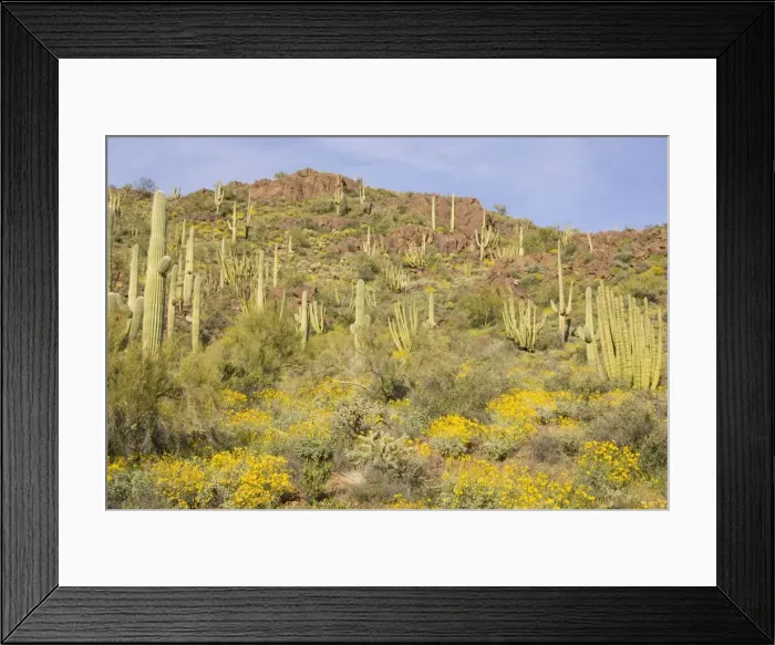 Framed Print : Picture No. 10760977 Framed Print : Picture No. 10760977