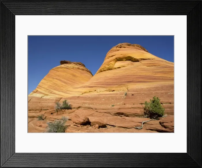 Framed Print : Picture No. 10760986 Framed Print : Picture No. 10760986