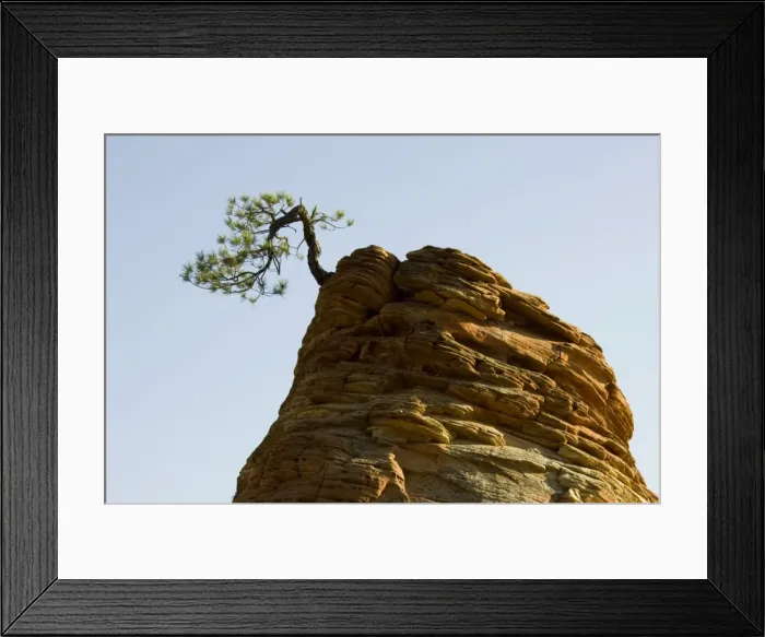 Framed Print : Picture No. 10761006