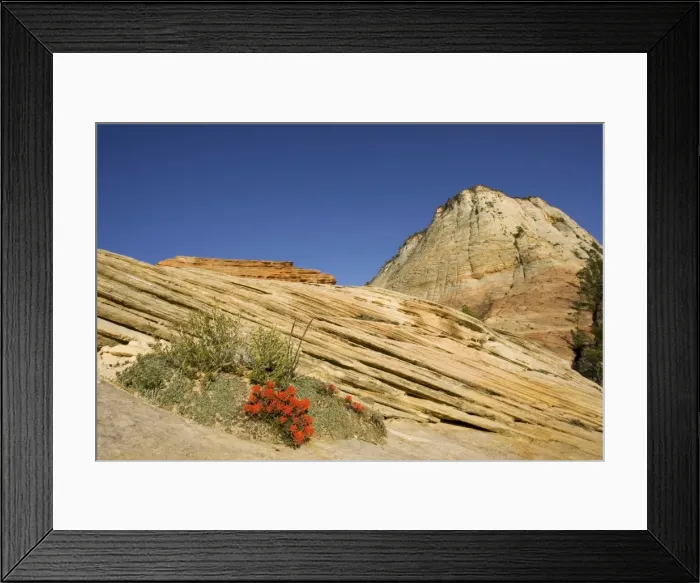 Framed Print : Picture No. 10761008 Framed Print : Picture No. 10761008