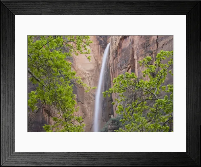 Framed Print : Picture No. 10761013 Framed Print : Picture No. 10761013