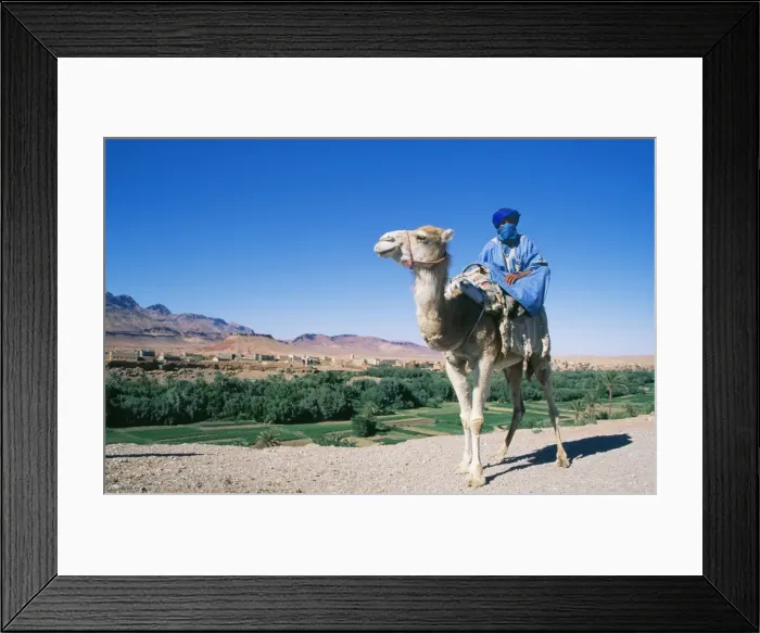 Framed Print : Picture No. 10761012