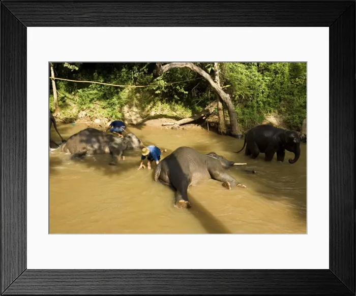 Framed Print : Picture No. 10761020 Framed Print : Picture No. 10761020