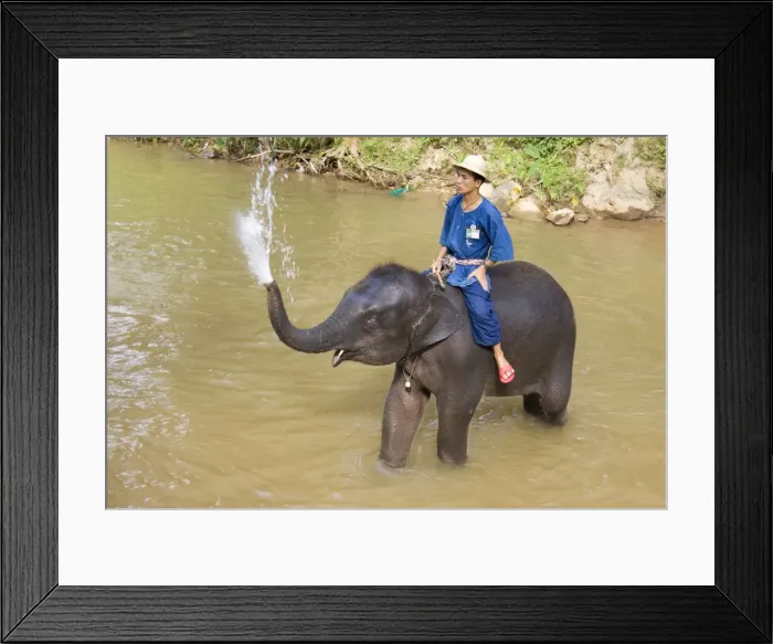 Framed Print : Picture No. 10761022 Framed Print : Picture No. 10761022