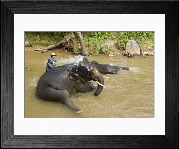 Framed Print : Picture No. 10761021 Framed Print : Picture No. 10761021