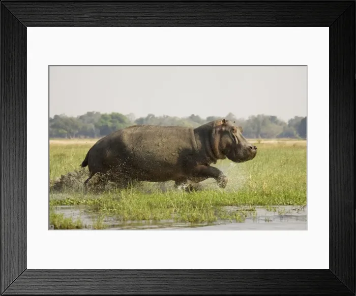 Framed Print : Picture No. 10761099 Framed Print : Picture No. 10761099