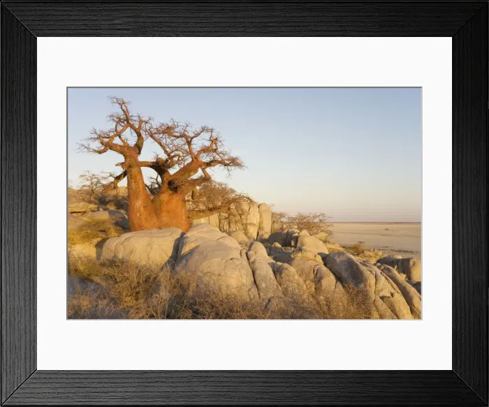 Framed Print : Picture No. 10761050 Framed Print : Picture No. 10761050