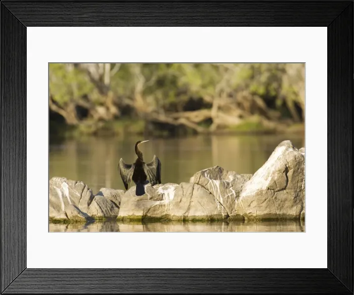 Framed Print : Picture No. 10761054 Framed Print : Picture No. 10761054
