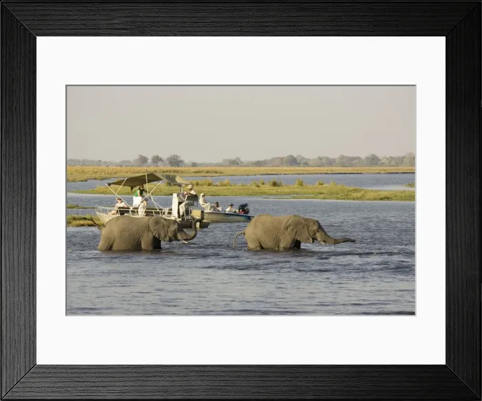 Framed Print : Picture No. 10761077 Framed Print : Picture No. 10761077
