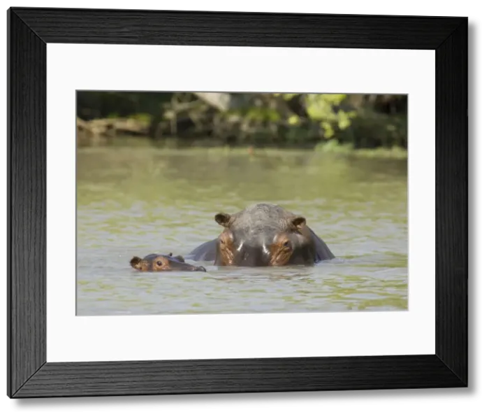 Framed Print : Picture No. 10761096