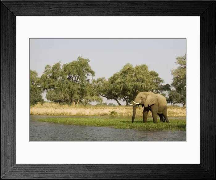 Framed Print : Picture No. 10761102 Framed Print : Picture No. 10761102