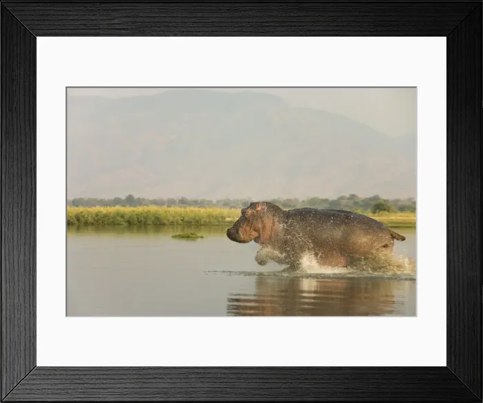 Framed Print : Picture No. 10761105 Framed Print : Picture No. 10761105